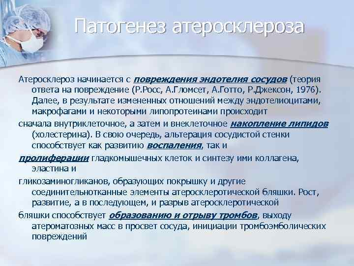 Патогенез атеросклероза Атеросклероз начинается с повреждения эндотелия сосудов (теория ответа на повреждение (Р. Росс,