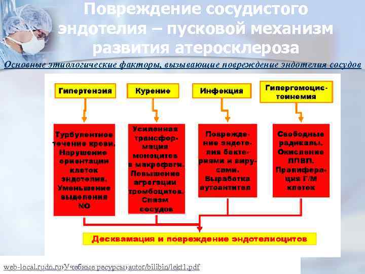 Повреждение сосудистого эндотелия – пусковой механизм развития атеросклероза Основные этиологические факторы, вызывающие повреждение эндотелия