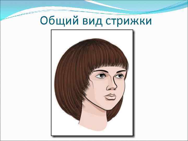 Общий вид стрижки 