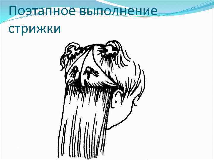 Поэтапное выполнение стрижки 