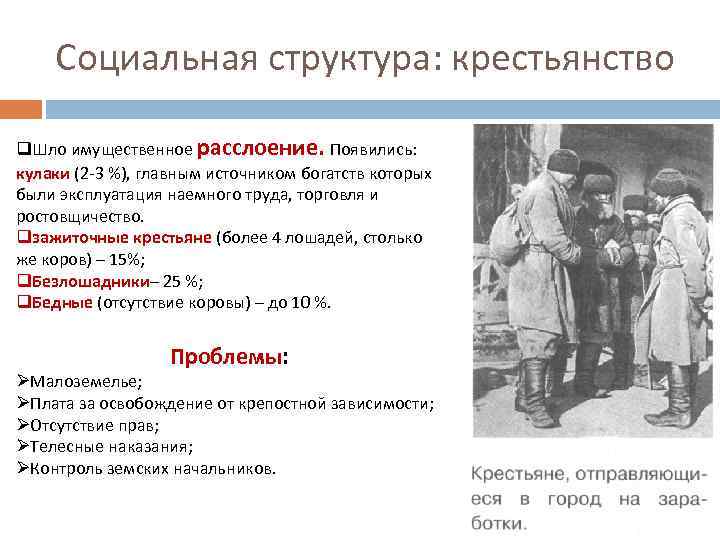 Социальная структура: крестьянство q. Шло имущественное расслоение. Появились: кулаки (2 -3 %), главным источником