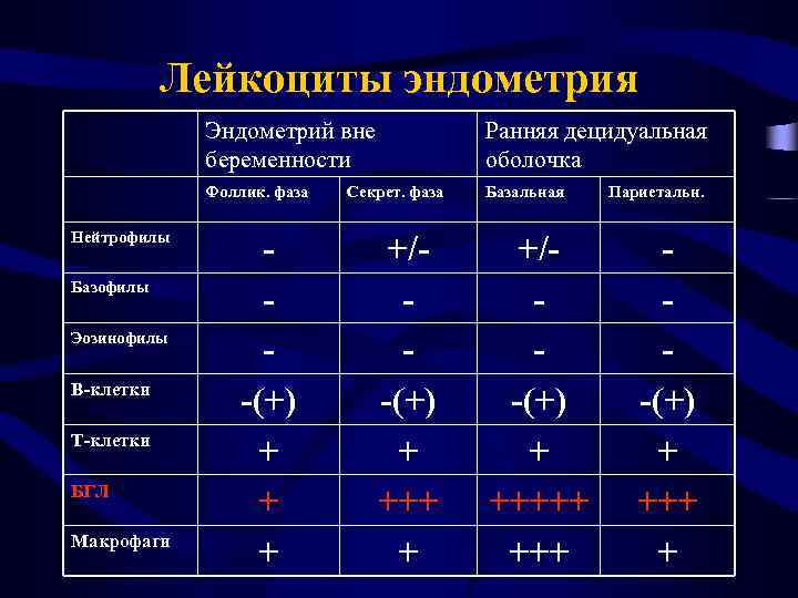 Лейкоциты эндометрия Эндометрий вне беременности Фоллик. фаза Нейтрофилы Базофилы Эозинофилы B-клетки T-клетки БГЛ Макрофаги