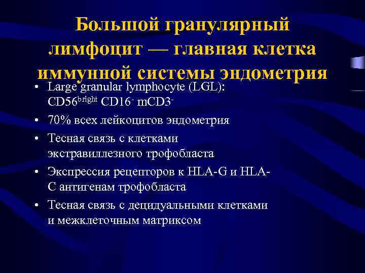 Большой гранулярный лимфоцит — главная клетка иммунной системы эндометрия • Large granular lymphocyte (LGL):