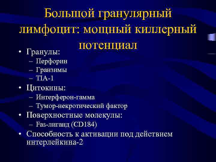 Большой гранулярный лимфоцит: мощный киллерный потенциал • Гранулы: – Перфорин – Гранзимы – TIA-1