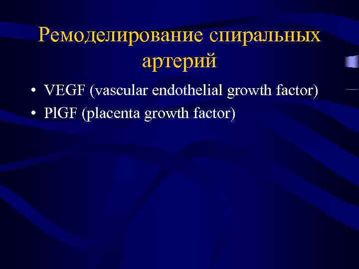 Ремоделирование спиральных артерий • VEGF (vascular endothelial growth factor) • Pl. GF (placenta growth