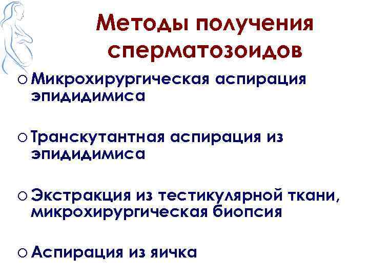 Методы получения сперматозоидов o Микрохирургическая аспирация эпидидимиса o Транскутантная аспирация из эпидидимиса o Экстракция