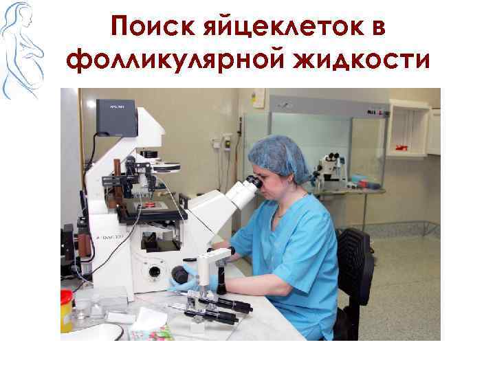 Поиск яйцеклеток в фолликулярной жидкости 