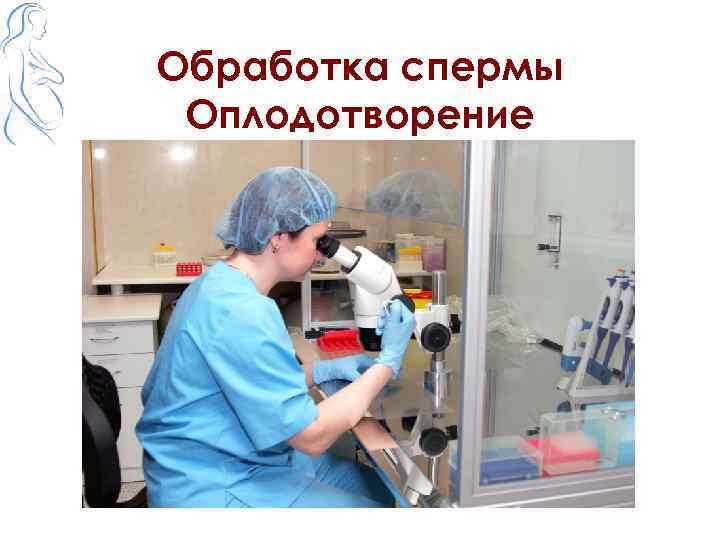 Обработка спермы Оплодотворение 