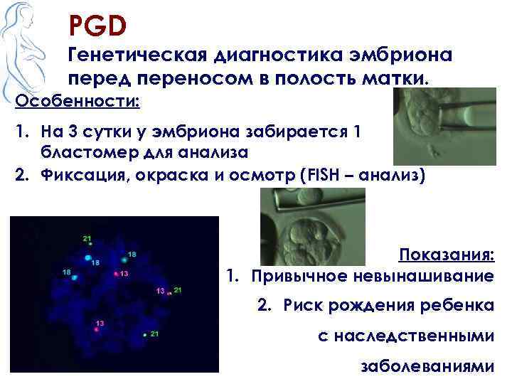 PGD Генетическая диагностика эмбриона перед переносом в полость матки. Особенности: 1. На 3 сутки