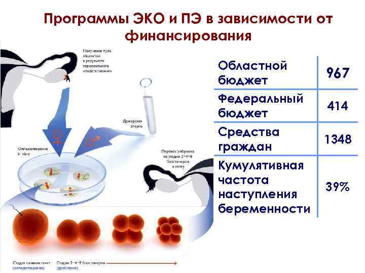 Программы ЭКО и ПЭ в зависимости от финансирования Областной бюджет 967 Федеральный бюджет 414