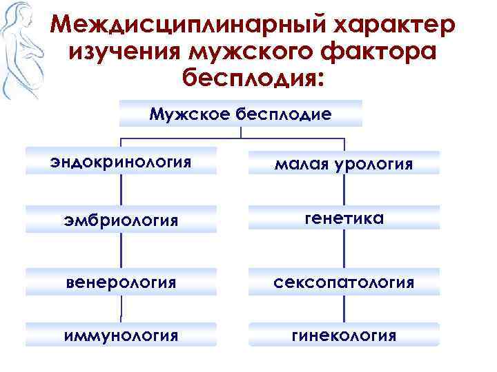 Междисциплинарный характер изучения мужского фактора бесплодия: Мужское бесплодие эндокринология малая урология эмбриология генетика венерология