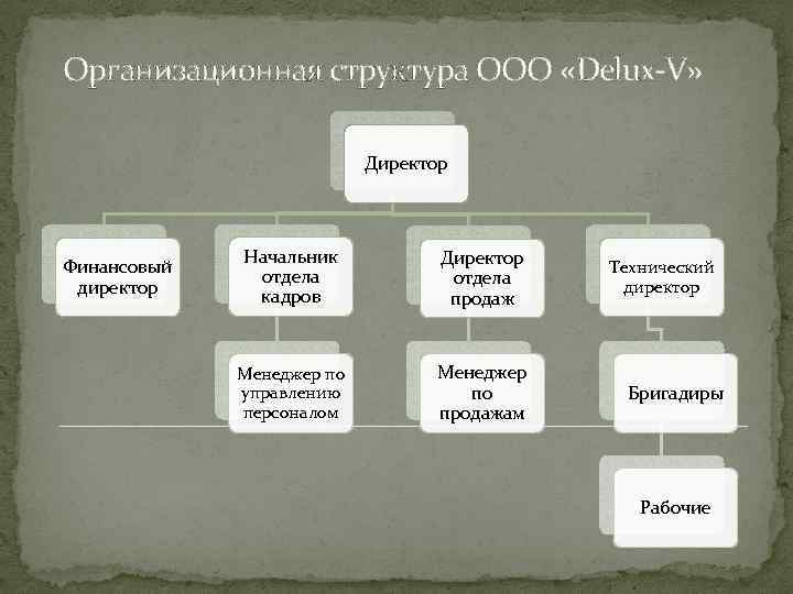 Организационная структура ООО «Delux-V» Директор Финансовый директор Начальник отдела кадров Директор отдела продаж Технический