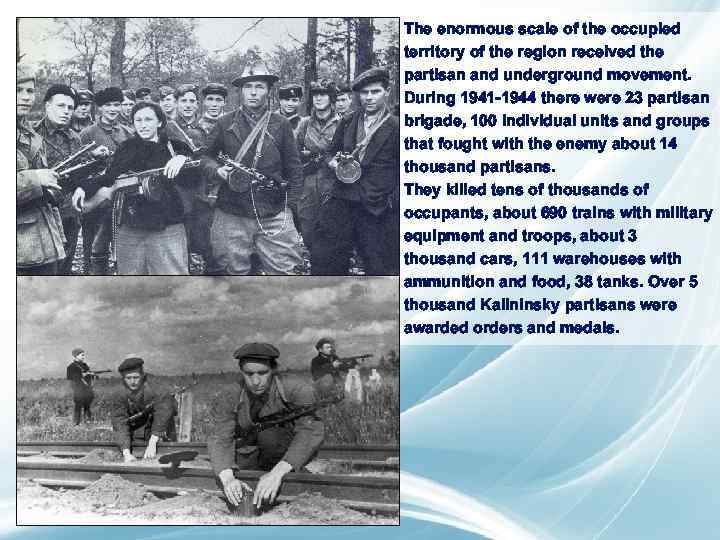 The enormous scale of the occupied territory of the region received the partisan and