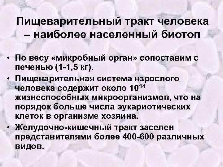 Пищеварительный тракт человека – наиболее населенный биотоп • По весу «микробный орган» сопоставим с