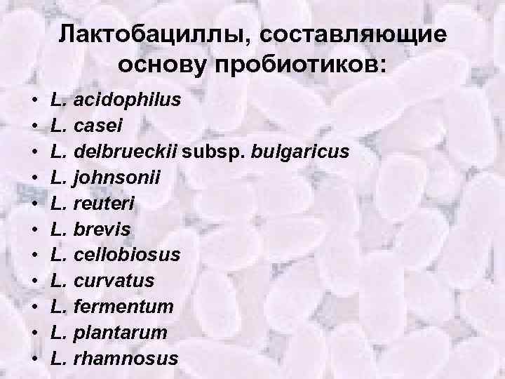 Лактобациллы, составляющие основу пробиотиков: • • • L. acidophilus L. casei L. delbrueckii subsp.