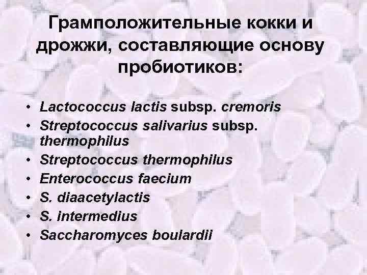 Грамположительные кокки и дрожжи, составляющие основу пробиотиков: • Lactococcus lactis subsp. cremoris • Streptococcus