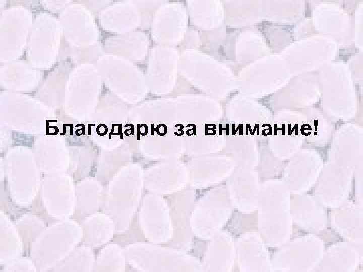 Благодарю за внимание! 