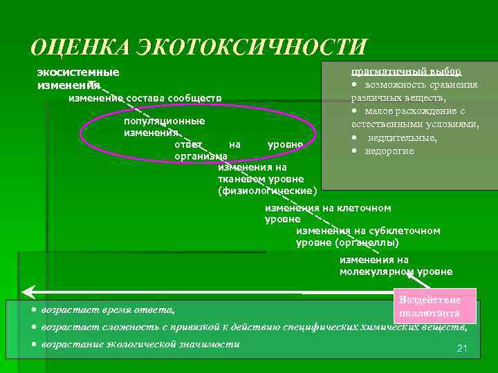 ОЦЕНКА ЭКОТОКСИЧНОСТИ экосистемные изменения изменение состава сообществ популяционные изменения ответ на уровне организма изменения