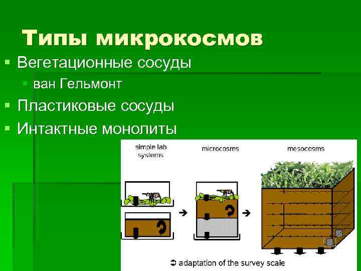Типы микрокосмов § Вегетационные сосуды § ван Гельмонт § Пластиковые сосуды § Интактные монолиты