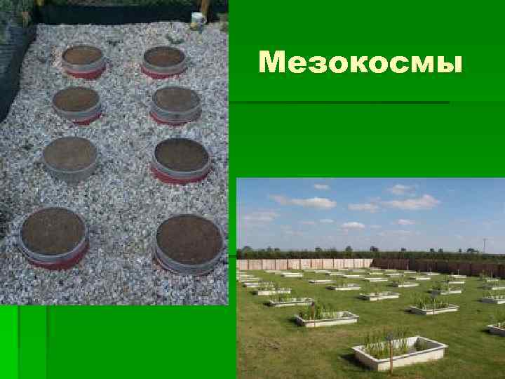 Мезокосмы 