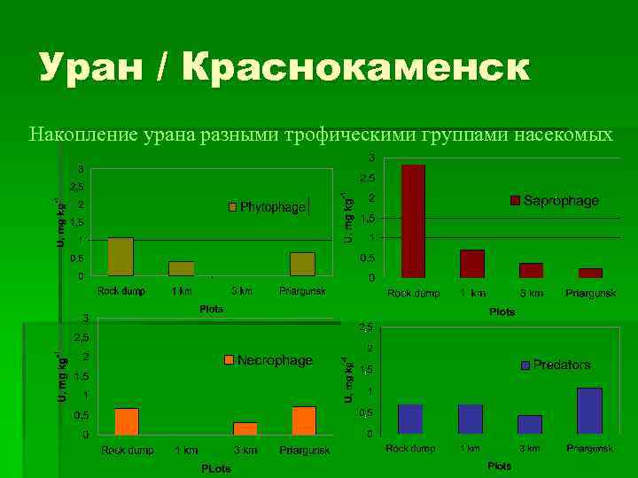 Уран / Краснокаменск Накопление урана разными трофическими группами насекомых 