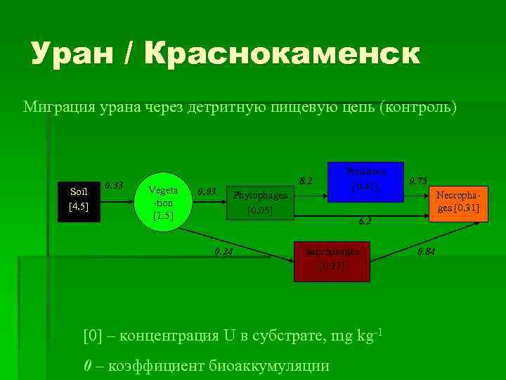 Уран / Краснокаменск Миграция урана через детритную пищевую цепь (контроль) Soil [4. 5] 0.