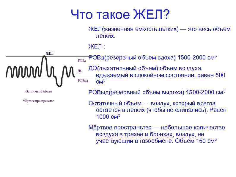 Что такое ЖЕЛ? ЖЕЛ(жизненная емкость легких) — это весь объем легких. ЖЕЛ : РОВд(резервный