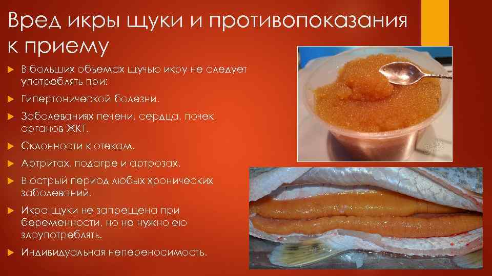 Вред икры щуки и противопоказания к приему В больших объемах щучью икру не следует