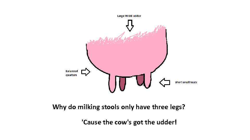 Why do milking stools only have three legs? 'Cause the cow's got the udder!