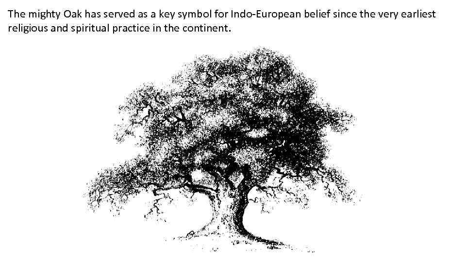 The mighty Oak has served as a key symbol for Indo-European belief since the