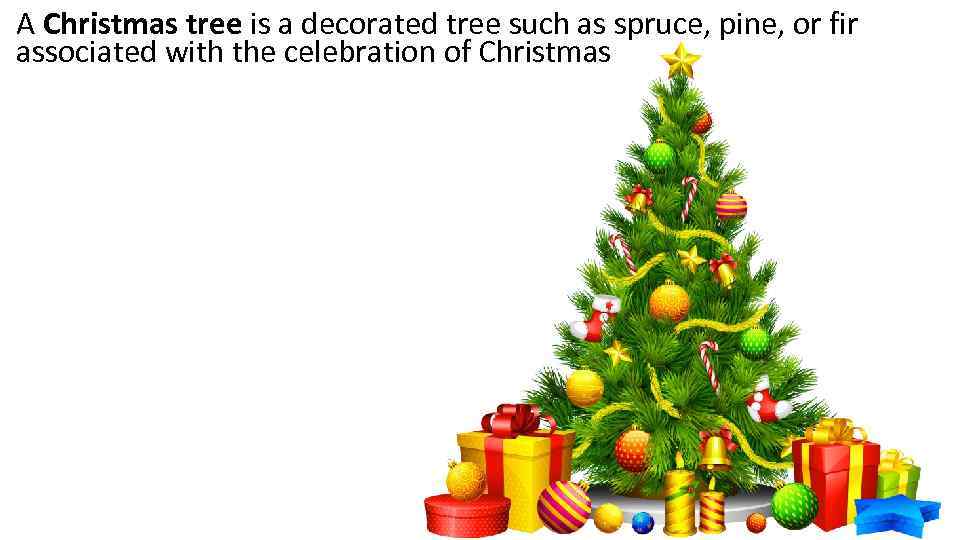 A Christmas tree is a decorated tree such as spruce, pine, or fir associated