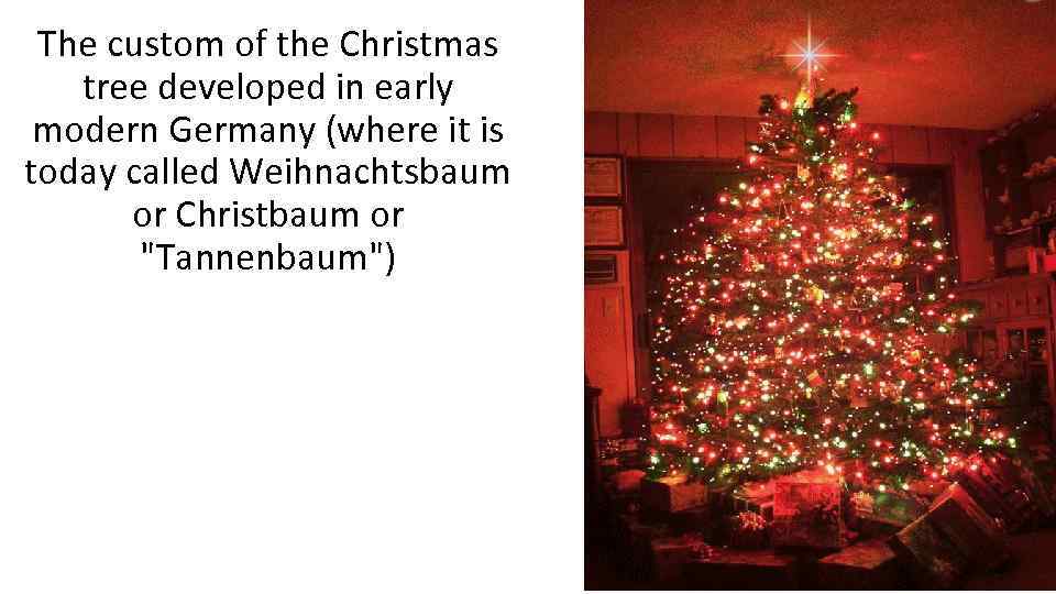 The custom of the Christmas tree developed in early modern Germany (where it is