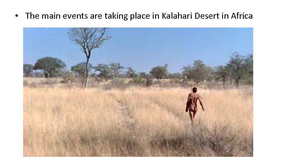  • The main events are taking place in Kalahari Desert in Africa 