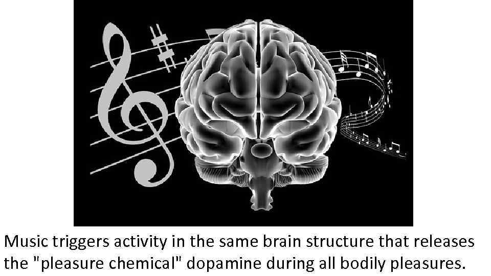 Music triggers activity in the same brain structure that releases the 