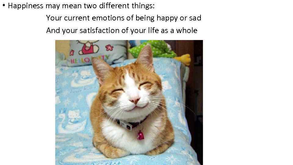  • Happiness may mean two different things: Your current emotions of being happy