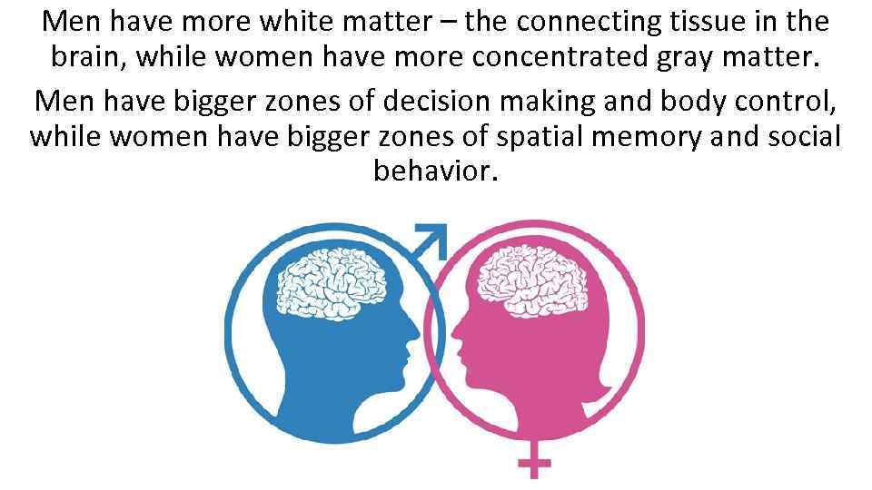 Men have more white matter – the connecting tissue in the brain, while women
