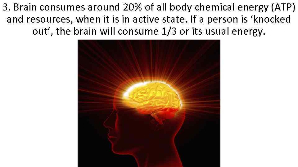 3. Brain consumes around 20% of all body chemical energy (ATP) and resources, when