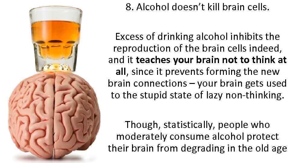 8. Alcohol doesn’t kill brain cells. Excess of drinking alcohol inhibits the reproduction of