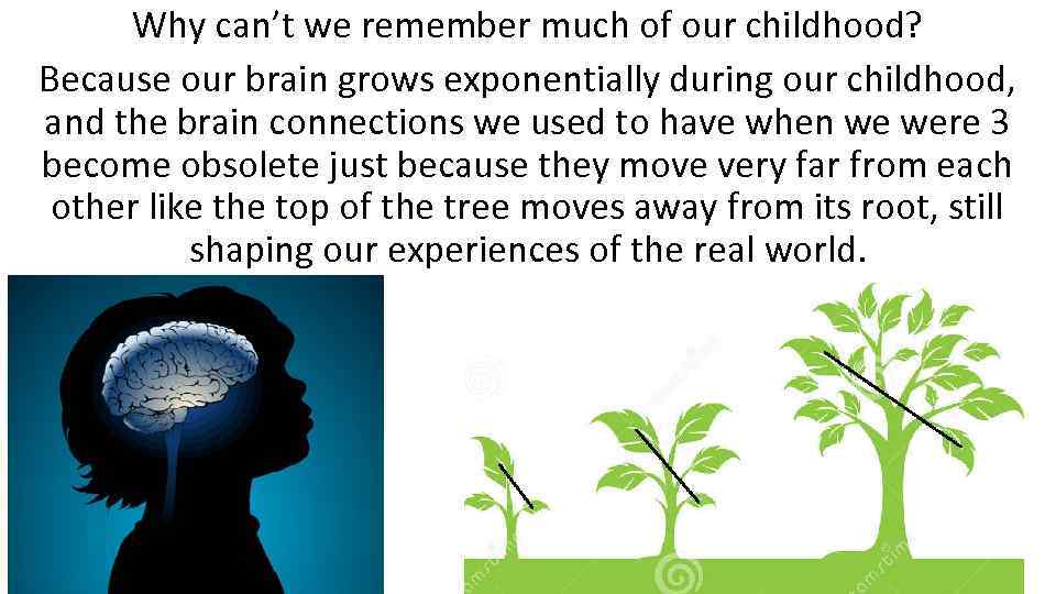 Why can’t we remember much of our childhood? Because our brain grows exponentially during