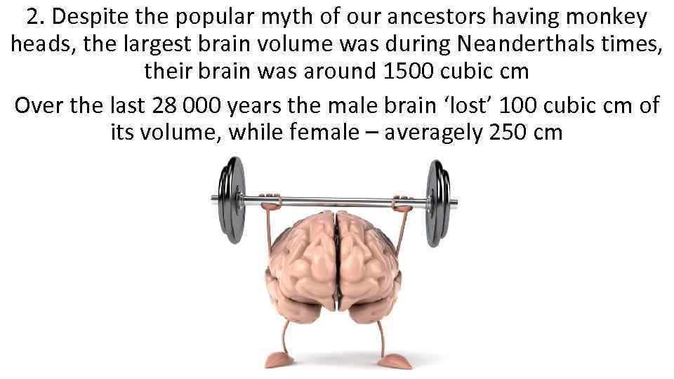 2. Despite the popular myth of our ancestors having monkey heads, the largest brain