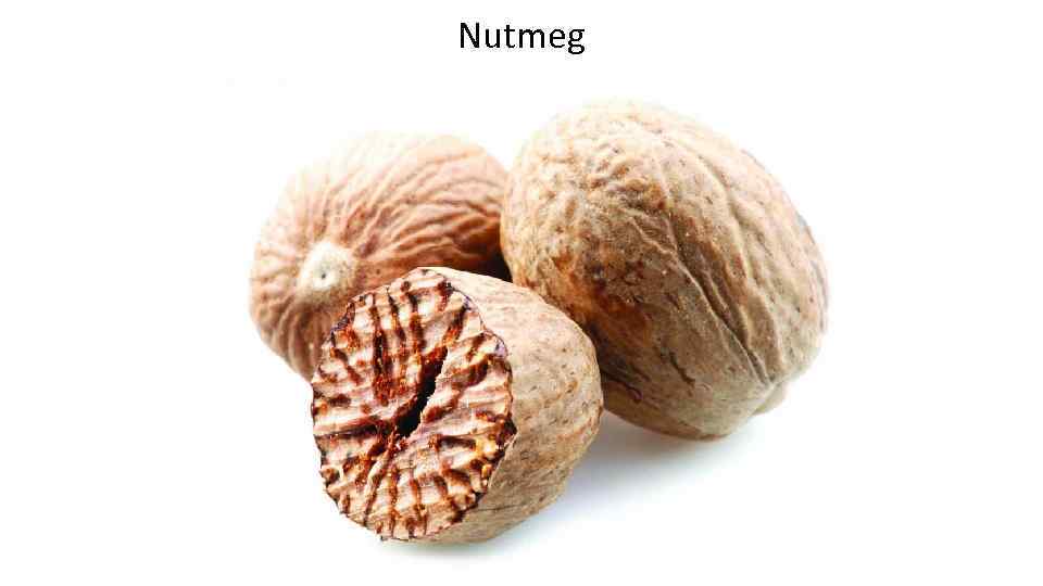 Nutmeg 