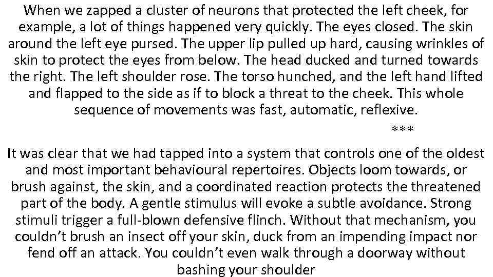 When we zapped a cluster of neurons that protected the left cheek, for example,