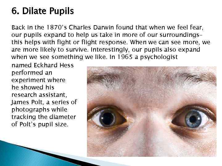 6. Dilate Pupils Back in the 1870’s Charles Darwin found that when we feel