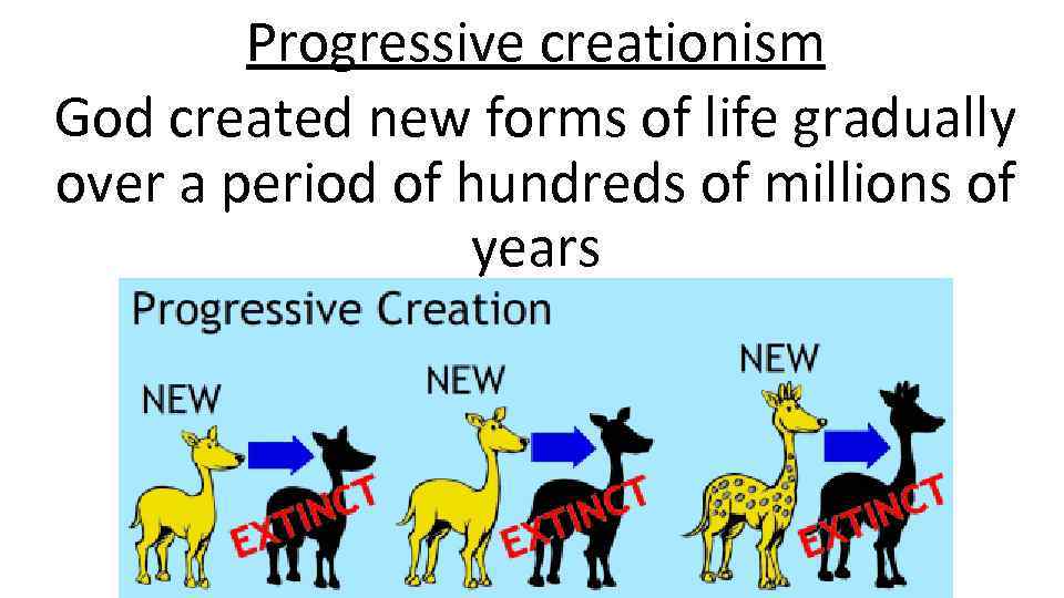 Progressive creationism God created new forms of life gradually over a period of hundreds