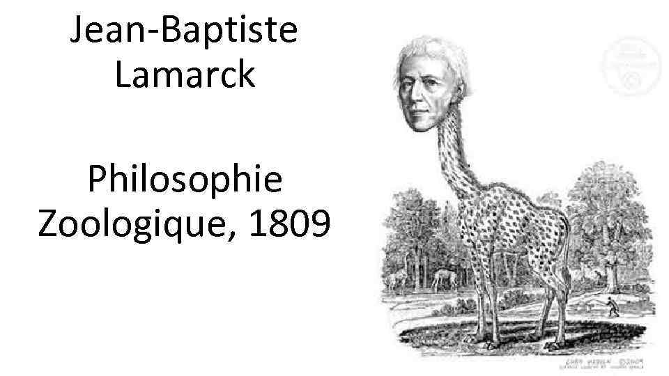 Jean-Baptiste Lamarck Philosophie Zoologique, 1809 