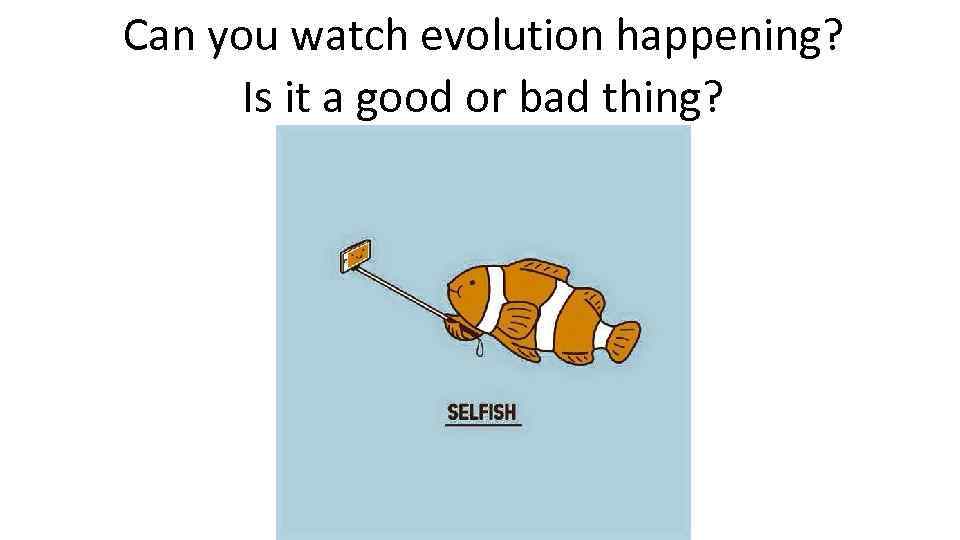 Can you watch evolution happening? Is it a good or bad thing? 