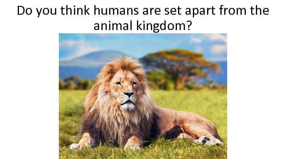 Do you think humans are set apart from the animal kingdom? 