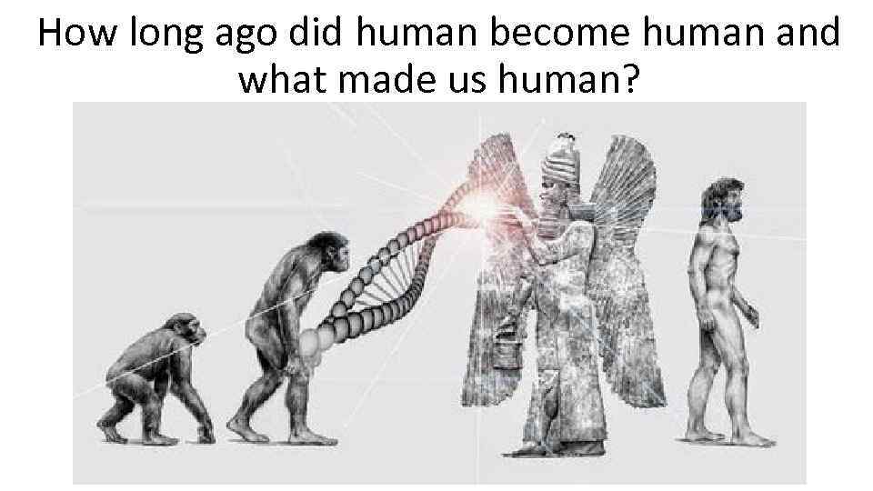 How long ago did human become human and what made us human? 