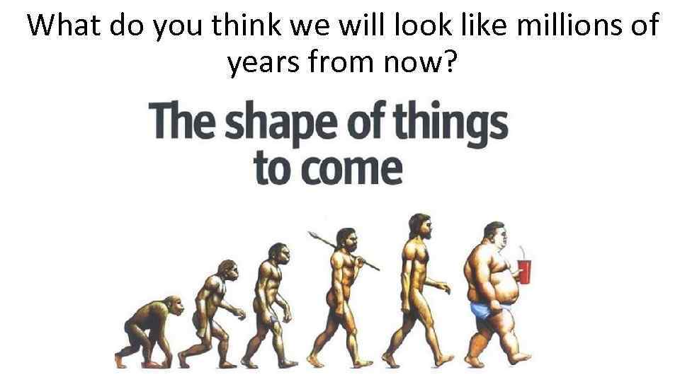 What do you think we will look like millions of years from now? 