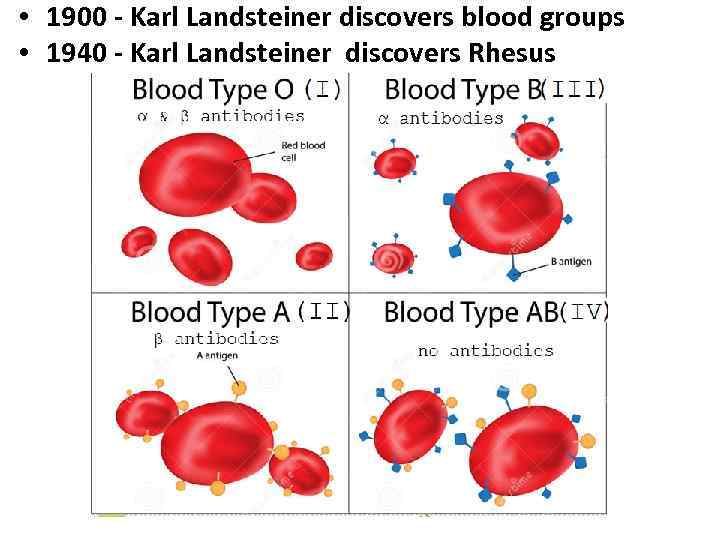  • 1900 - Karl Landsteiner discovers blood groups • 1940 - Karl Landsteiner